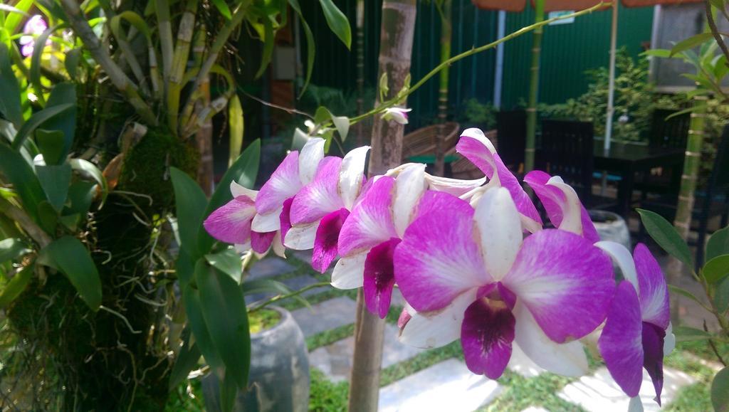 Siem Reap Green Home Guesthouse Buitenkant foto